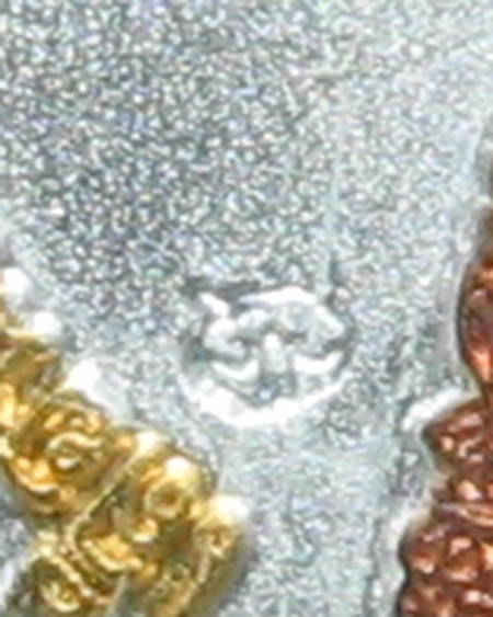 หลวงพ่อชาญ วัดบางบ่อ จ.สมุทรปราการ