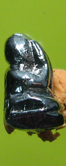 หลวงพ่อคูณ ปริสุทฺโธ วัดบ้านไร่ อ.ด่านขุนทด จ.นครราชสีมา