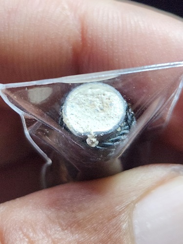 วัดกำแพงแสน นครปฐม ตะกรุดโทน อุดผงพุทธคุณ หลวงปู่แผ้ว ปวโร  ปี 2550