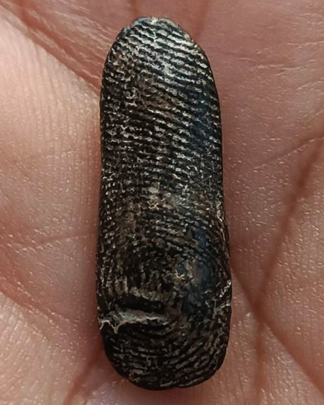 พระลีลาเนื้อดิน ขนาดสูง 2.4 ซ.ม. พระบ้านเก่าเก็บ หลายสิบปี ไม่ทราบเกจิที่สร้าง