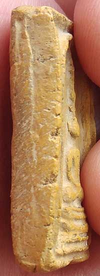 *สมเด็จฯ หูบายศรี เกศอุ หลวงพ่อโชติ วัดตะโน เนื้อผงขมิ้น*