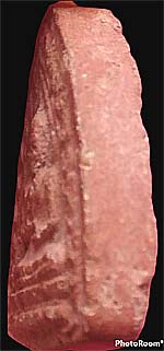 กลีบบัวสองหน้า ว่านสบู่เลือด