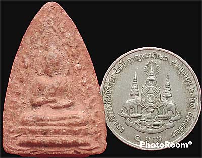 กลีบบัวสองหน้า ว่านสบู่เลือด