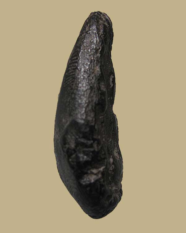 พระขุนแผนปั้นมือพระครูกล้าย วัดหงส์รัตนาราม บางกอกใหญ่ ธนบุรี ปี ๒๔๘๕ เนื้อผงใบลาน