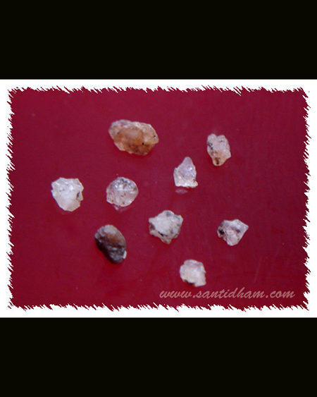 หลวงปู่หลวง กตปุญโญ วัดสามัคคีบุญญาราม (วัดคีรีสุบรรพต)  จ.ลำปาง  