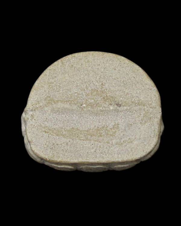 พระกริ่งปริสุทโธ หลวงพ่อคูณ รุ่น พิทักษ์ชายแดน ปี ๒๕๓๕ วัดบ้านไร่ จ.นครราชสีมา