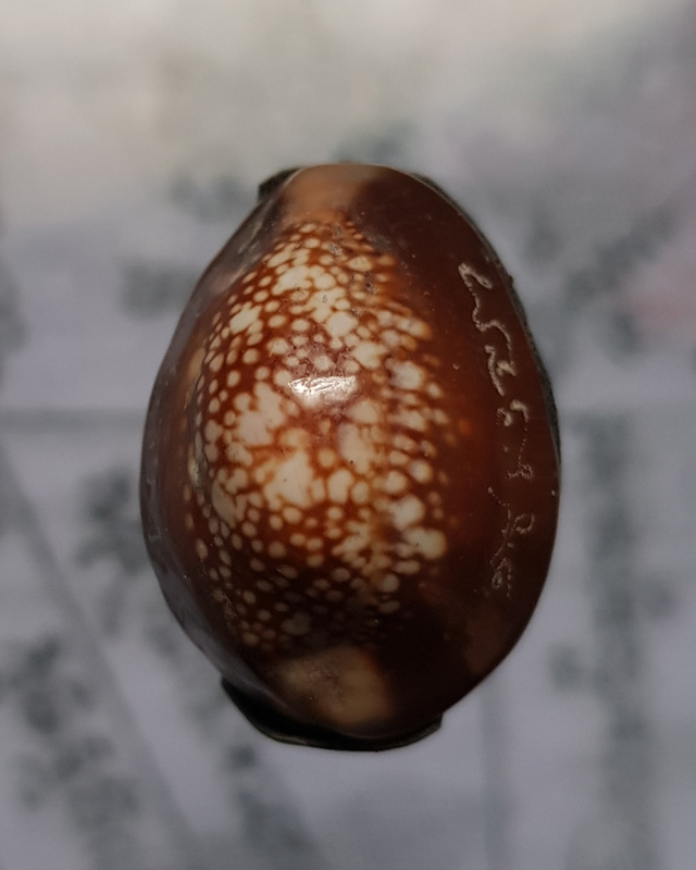 เบี้ยแก้ อุดผงพรายกุมารคลุกรักชันโรงพร้อมกระดาษยันต์ ปี 54 หลวงปู่บัว หลวงปู่คำบุ ปลุกเสก # เลข 4600