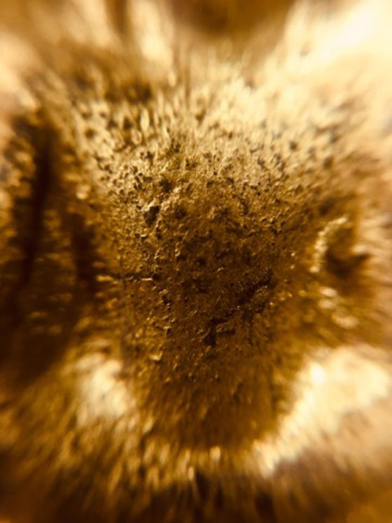 พระสมเด็จหลวงปู่ธูป วัดแค นางเลิ้ง พิมพ์กลักไม้ขีด ลงรักปิดทองเดิมๆ พร้อมใบประกาศรางวัลที่ 2