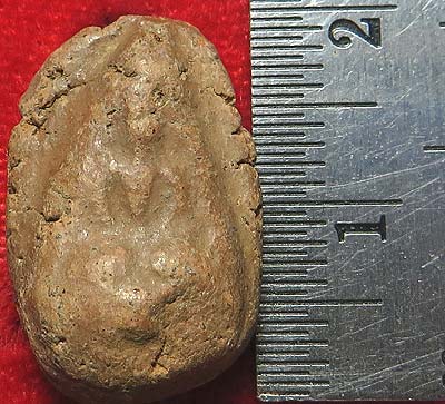 เม็ดน้อยหน่า เนื้อดิน