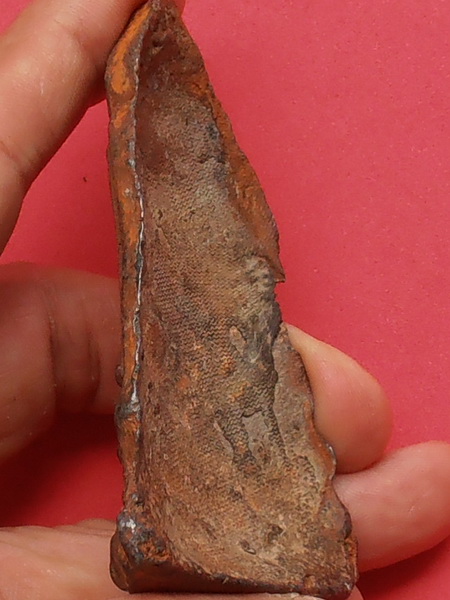 พระโคนสมอ เนื้อชิน