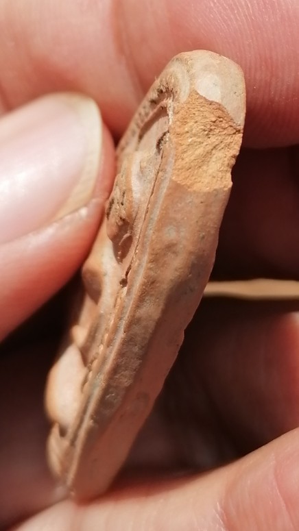 พระซุ้มไข่ปลาฐานบัว​ หลังปลาดุก​ 2​ ตัว หลวงพ่อกวย​ วัดโฆษิตาราม​ เนื้อดิน​ ยุคต้น​ เคาะเดียว    