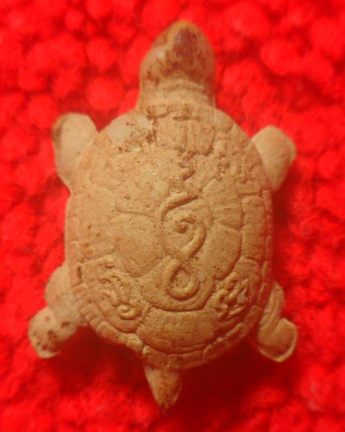 พญาเต่าเรือนเนื้อผงรุ่นแรก ปี35 หลวงปู่คำ วัดหนองแก จ.ประจวบคีรีขันธ์  องค์นี้พิเศษบรรจุพระธาตุ