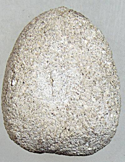 พระเล็บมือกรุวัดใหม่ปากบาง อยุธยา