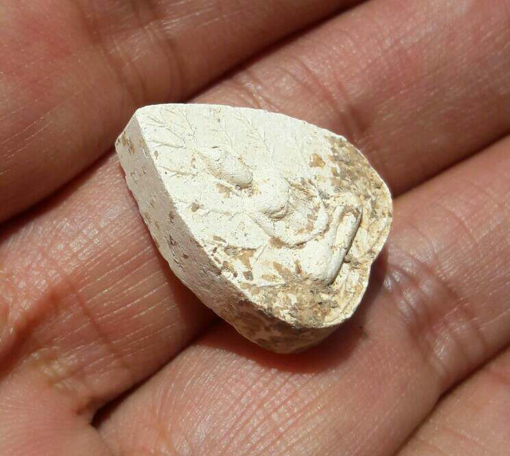 พระผงใบโพธิ์ หลังศก.๑๗ หลวงพ่อมุม วัดปราสาทเยอร์เหนือ ศรีสะเกษ ปี ๒๕๑๗ เคาะเดียว