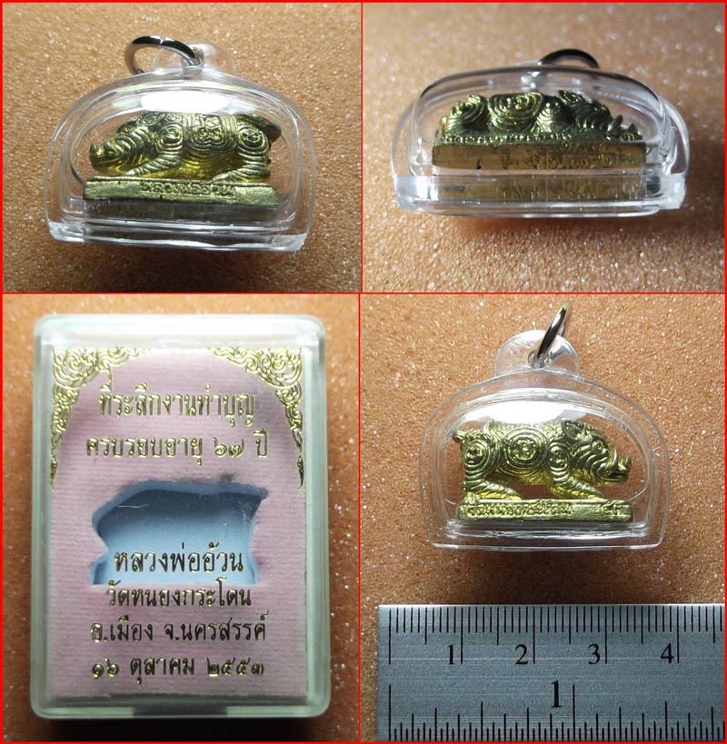 ขุนโดด เขี้ยวเงิน (หมู) หลวงพ่ออ้วน วัดหนองกระโดน เนื้อทองเหลือง ปี 2553 สุดยอดคงกระพัน