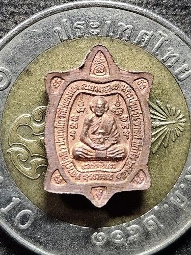 วัดไร่แตงทอง  นครปฐม เหรียญเต่าจิ๋ว หลวงปู่หลิว รุ่นขายดี มีกำไร ปี 51