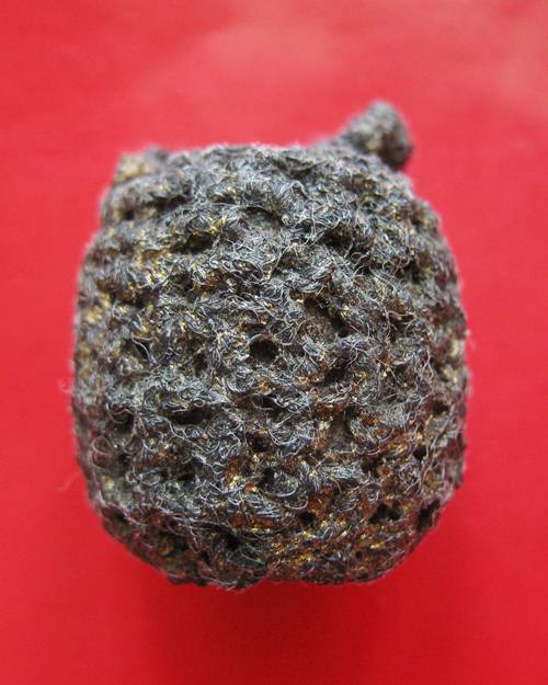 ตะกรุดลูกลาน หลวงปู่หมุน ฐิตสีโล ของดีที่น่าใช้