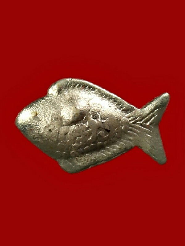 ปลาตะเพียนคู่ (ขนาดเล็ก)