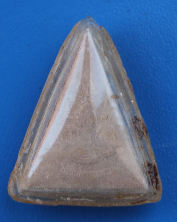 พระจิตรลดาโครงการหลวง