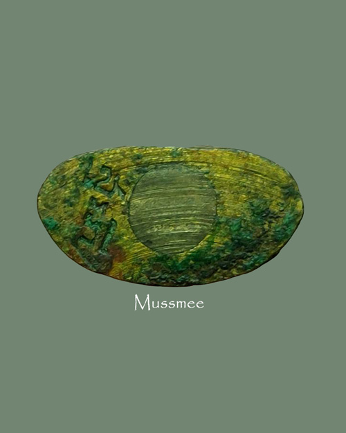 พระชัยวัฒน์ ตอกโค๊ด เกจิอาจารย์ ไม่ทราบสำนัก