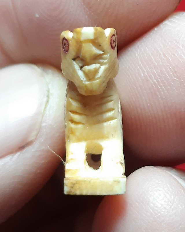 สิงห์คอม้า สองขวัญ หลวงพ่อมุ่ย วัดดอนไร่ สุพรรณบุรี