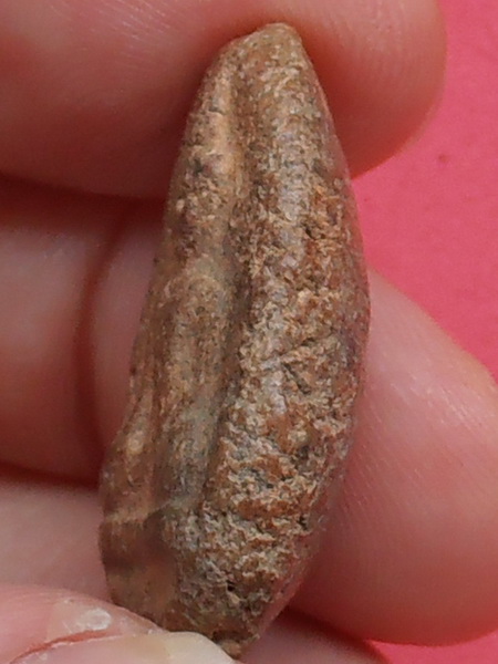 พระเนื้อดิน (ไม่ทราบที่)