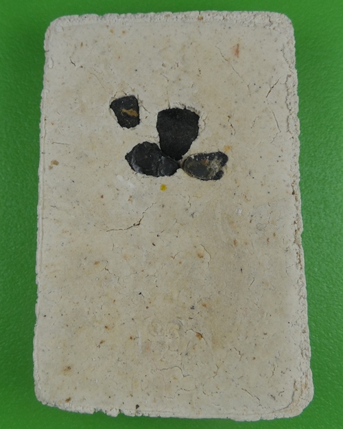 พระสมเด็จหลวงปู่สิงห์ วัดบ้านขี้เหล็ก ศรีสะเกษ .B814.*