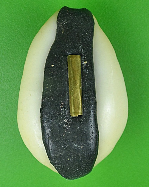 เบี้ยมหาโภคทรัพย์ฝังตะกรุดหัวใจเศรษฐี หลวงปู่สิงห์ วัดบ้านขี้เหล็ก ศรีสะเกษ .B833.