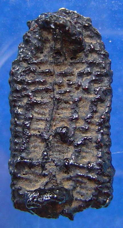 หลวงปู่ภู วัดอินทร์ พิมพ์อุ้มบาตร ถักเชือก ลงรักเก่า พร้อมตลับทองลงยา ลงหนังสือ The Art Of Siam คอลั