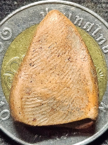  กรุลานดอกไม้ สุโขทัย พระกลีบบัว 