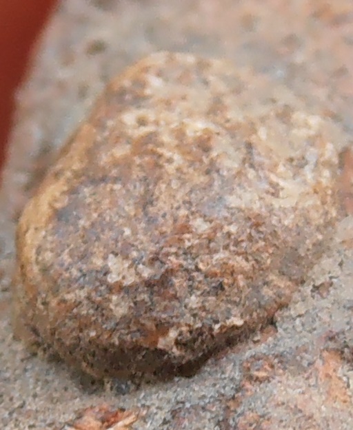 พระหลวงพ่อปาน วัดบางนมโค อยุธยา