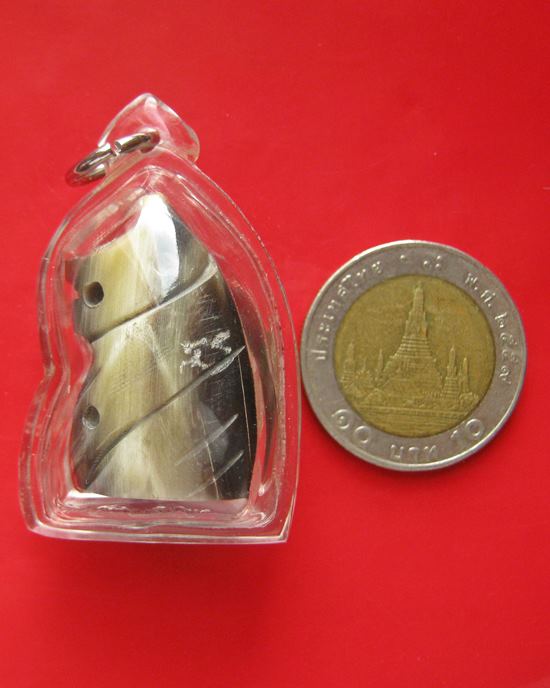 เสือเขาควายแกะ จารครบสูตร ใส่แล้วเมตา ค้าขายร่ำรวยครับ รุ่นไตรมาศ 44 หลวงพ่อเปิ่น วัดบางพระ เข้มขลัง