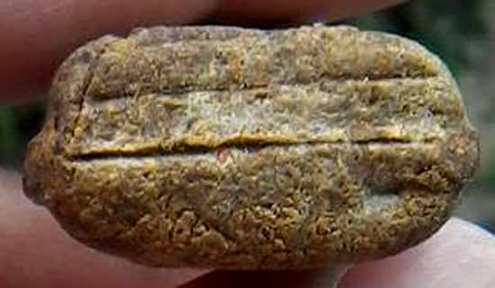 *ปิดตาวัดสะพานสูง พิมพ์ตะพาบ*