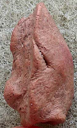 *พระเม็ดน้อยหน่า กรุวัดพระแก้ว กำแพงเพชร เนื้อดิน*