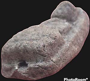 หลวงปู่ทวด เนื้อว่าน