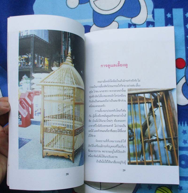  	 หนังสือ สีสันและลีลานกปรอดหัวโขน