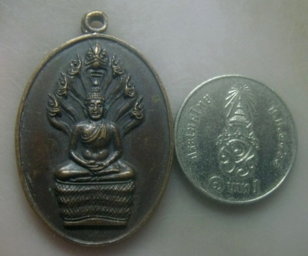 **เบาๆ**เหรียญพระนาคปรก เจ้าคุณนรฯ วัดเทพศิรินทราวาส ปี ๒๕๒๐**หลังยันต์น้ำเต้า ลป.โต๊ะ ปลุกเสก