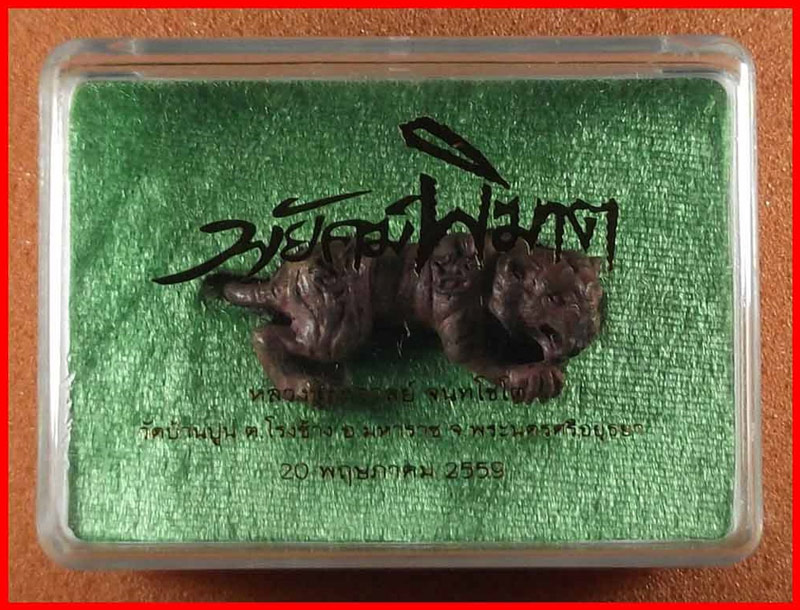 พยัคฆ์พิฆาต (อาบน้ำมนต์) หลวงปู่ชัชวาลย์ วัดบ้านปูน อยุธยา เนื้อทองแดงแรงฤทธิ์ ปี 2559