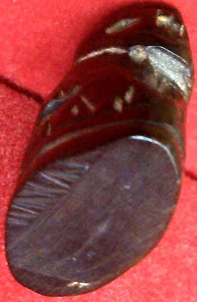 *เสือ เขาควายแกะ*