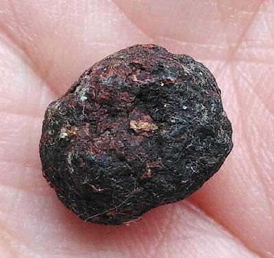 *ลูกอมชานหมาก หลวงปู่ทิม วัดพระขาว พระนครศรีอยุธยา*