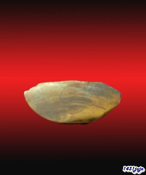 พระสังกัจจายน์ วัดกัลยาฯเนื้อทองเหลือง ปี2500 หลวงปู่โต๊ะ หลวงพ่อกวย หลวงพ่อทบ พ่อท่านคล้าย ฯ ปลุกเส