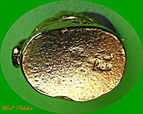 เสือกฐินปี49 หลวงพ่อเพี้ยน วัดเกริ่นกฐิน ลพบุรี .C578.*