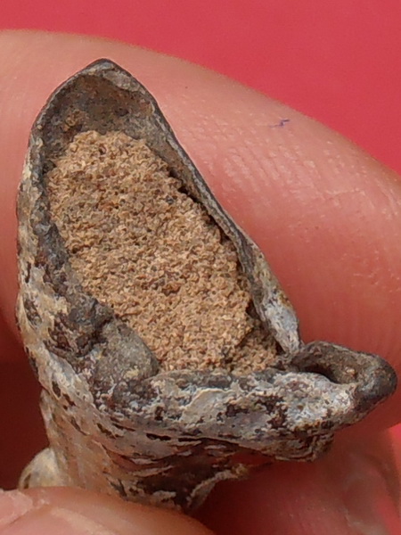 พระเนื้อชิน(ไม่ทราบที่)