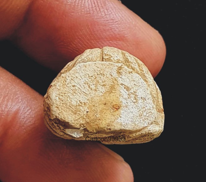 รูปหล่อเนื้อผง หลวงปู่เทพโลกอุดร พิมพ์สมาธิลอยองค์ สวย เดิม ดี ครับ