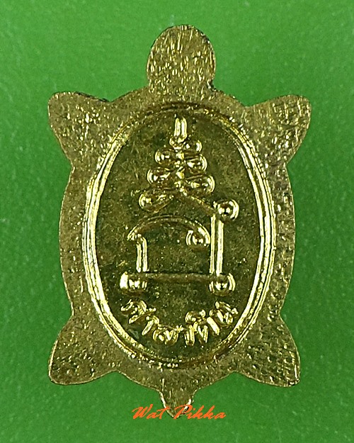 เต่าจิ๋วหลวงพ่อทรง วัดศาลาดิน อ่างทอง -คู่- .C773.