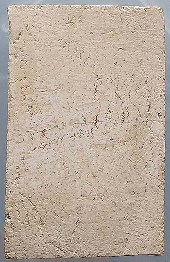 นาคปรก เนื้อผง