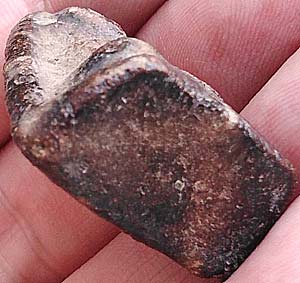 *พระโป้ กรุวัดบางกระทิง อยุธยา เนื้อดินเผา*