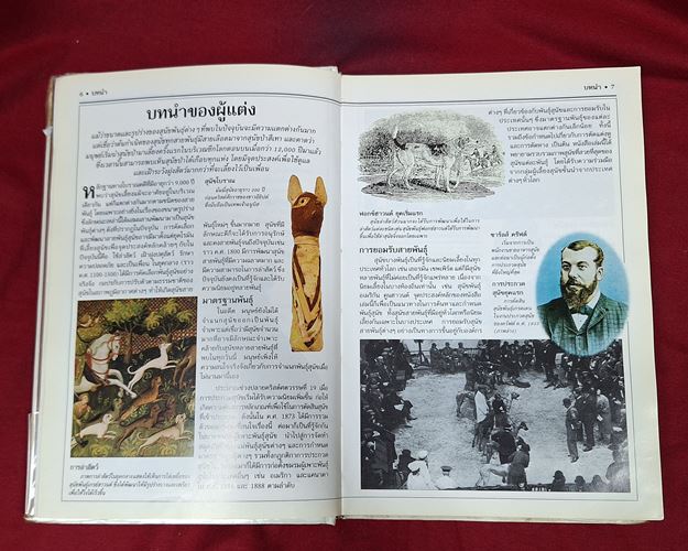 (ปิด79-) คู่มือแนะนำสุนัขพันธุ์ต่างๆ มากกว่า300พันธุ์ 14.5X21ซ.ม. ปกแข็ง304หน้า (สภาพมือ2) 