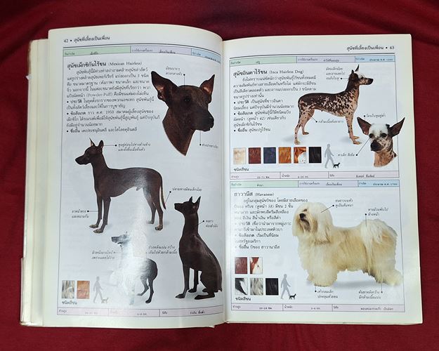 (ปิด79-) คู่มือแนะนำสุนัขพันธุ์ต่างๆ มากกว่า300พันธุ์ 14.5X21ซ.ม. ปกแข็ง304หน้า (สภาพมือ2) 