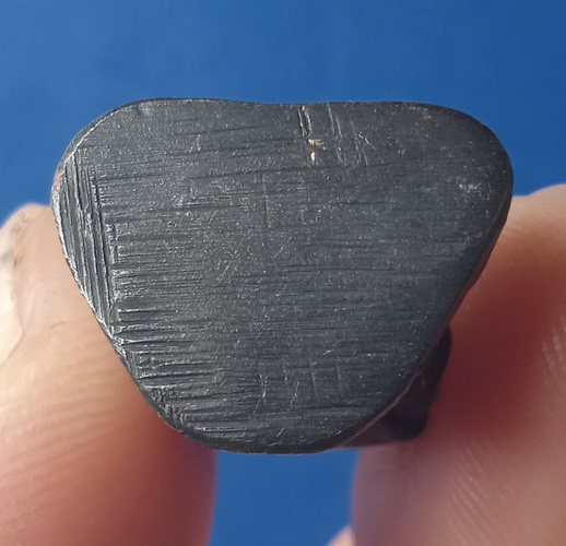 รูปหล่อ หลวงพ่อทวี วัดโรงช้าง พิจิตร